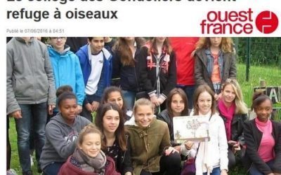 le collège : un refuge pour les oiseaux