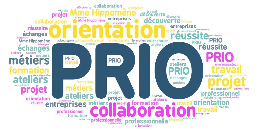 Nouvelle collaboration entre Mme Hippomène et les élèves du dispositif PRIO